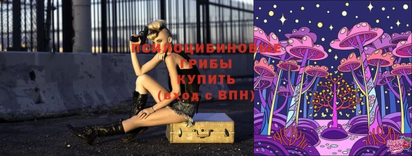 дмт Алексеевка