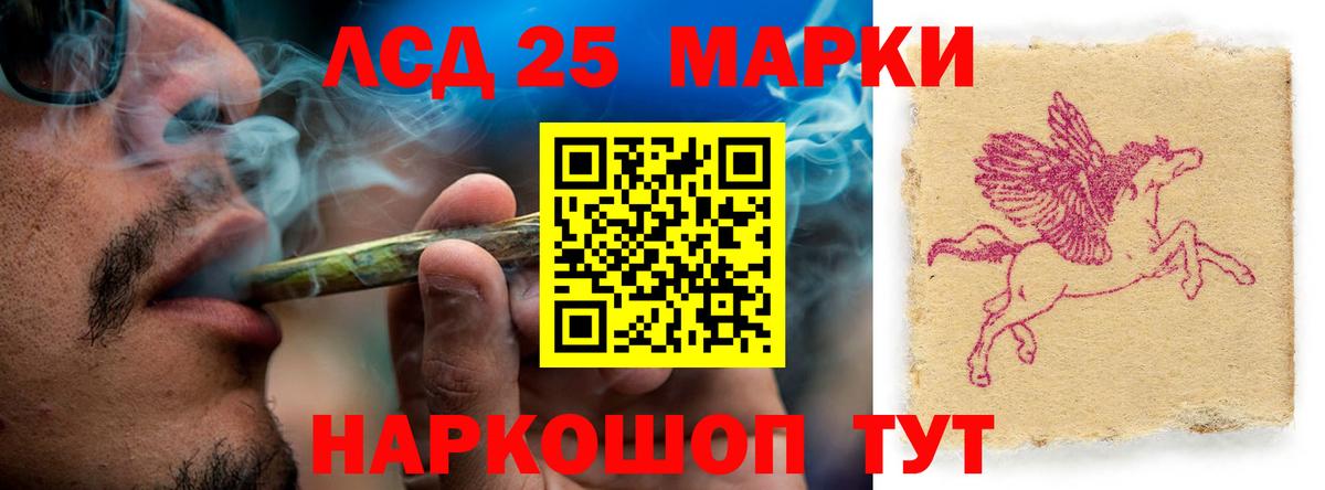 ЛСД экстази ecstasy  Вход с VPN  Новозыбков  LSD-25 экстази ecstasy 