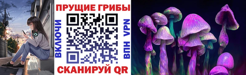 Псилоцибиновые грибы прущие грибы  shop наркотические препараты  Новозыбков 