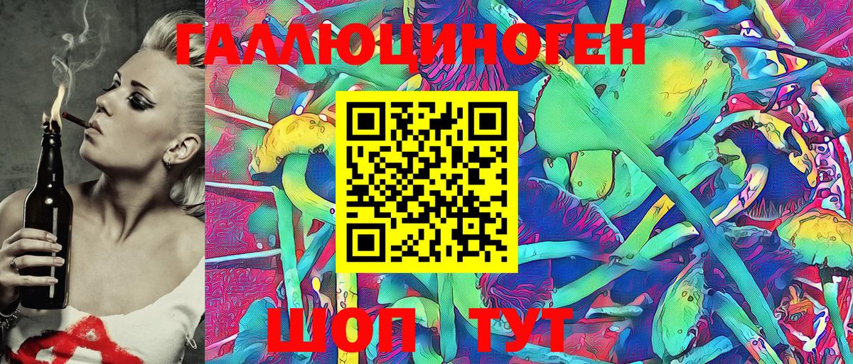 Новозыбков  Псилоцибиновые грибы мухоморы  Вход с VPN 